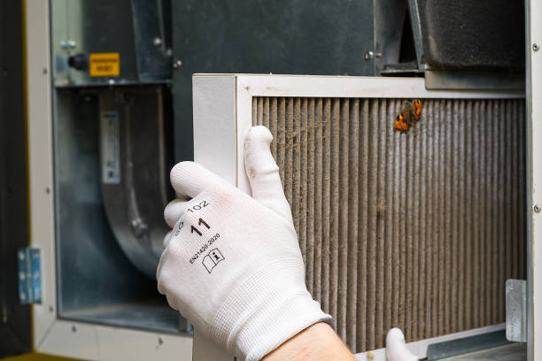 Best Local Air Duct Cleaning Services  in Farmington, NM