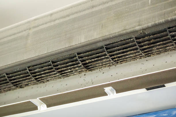 Best Affordable HVAC Duct Cleaning  in Farmington, NM